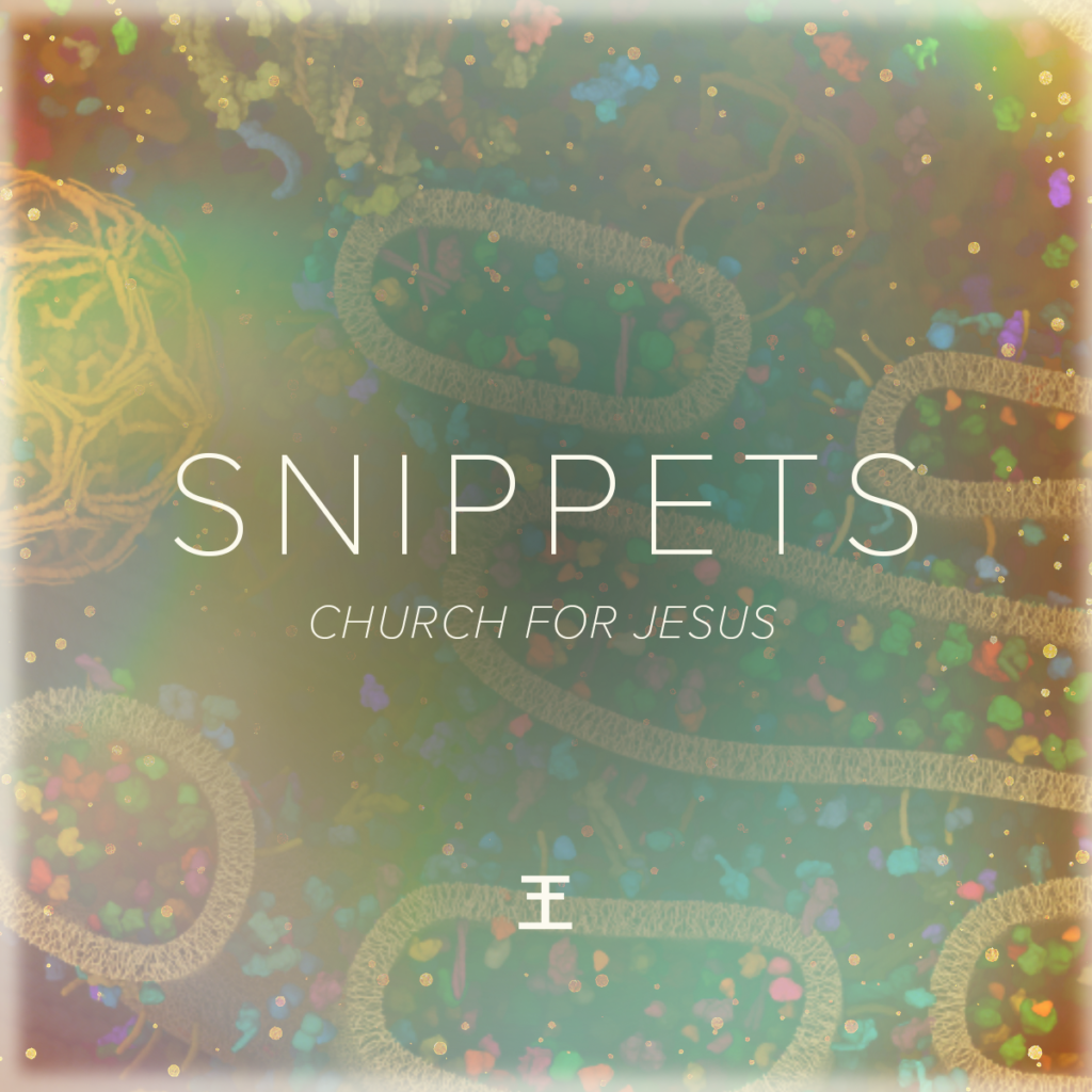 Snippets: Church for Jesus