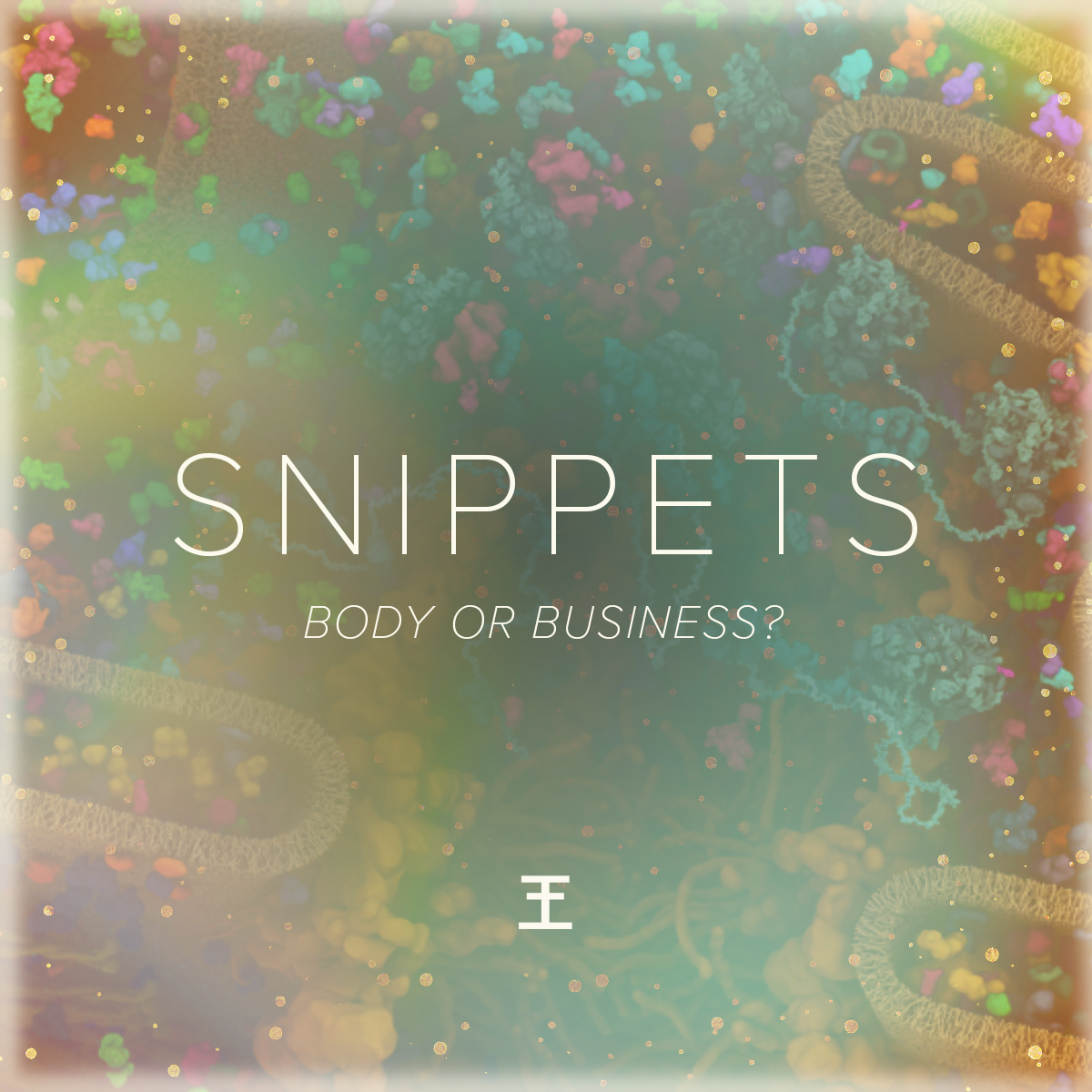 Snippets: Body or Business?