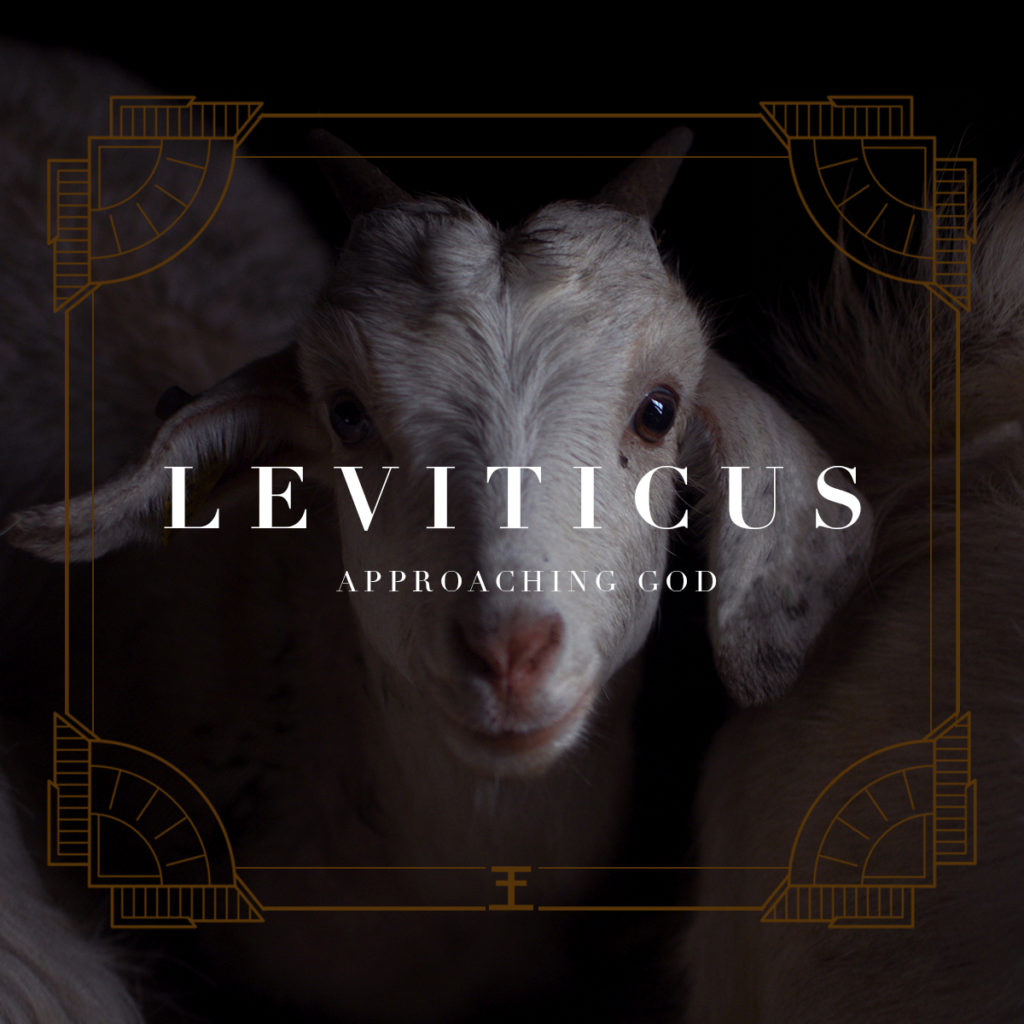Leviticus web banner 2
