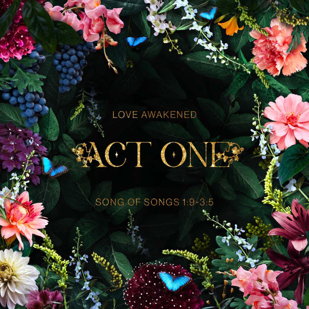 Act I (Song 1:9-3:5)