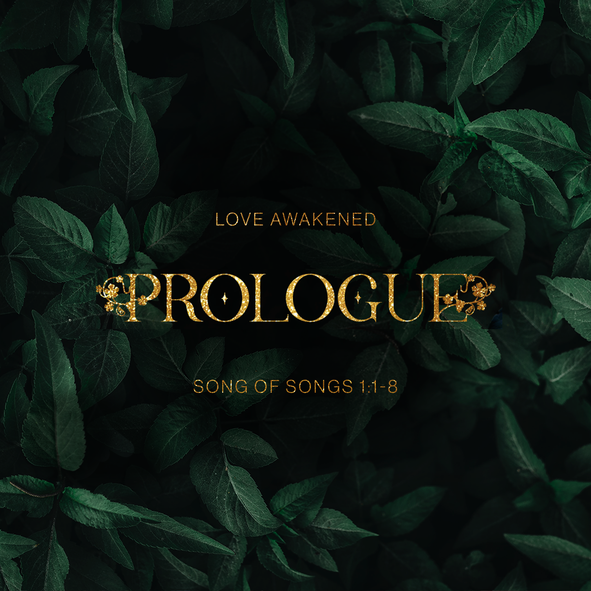 Prologue (Song 1:1-8)