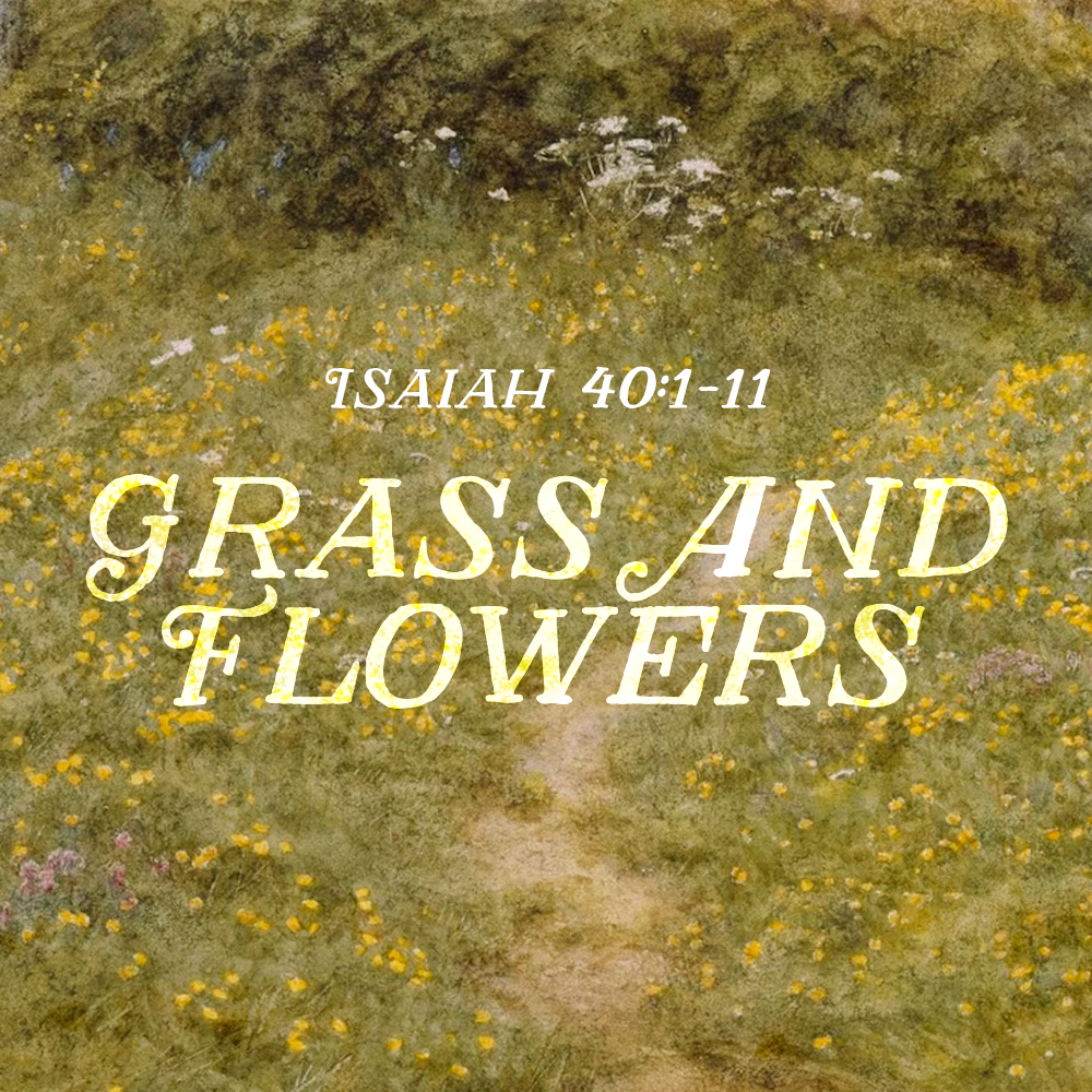 Grass and Flowers (Isa 40:1-11)