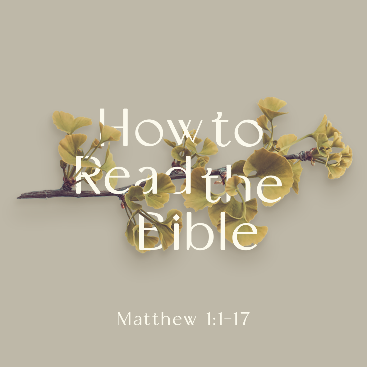How to Read the Bible (Matt 1:1-17)